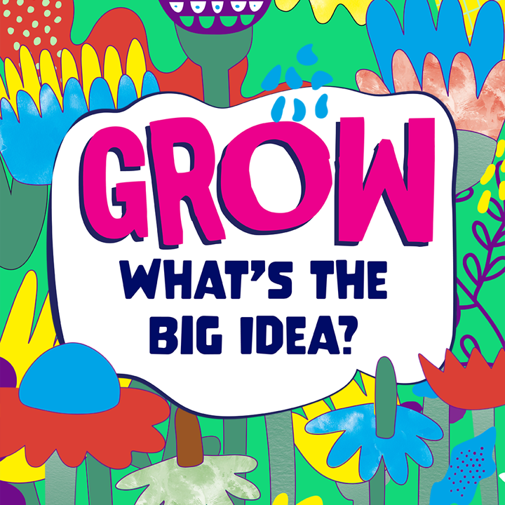 Whats the Big Idea?