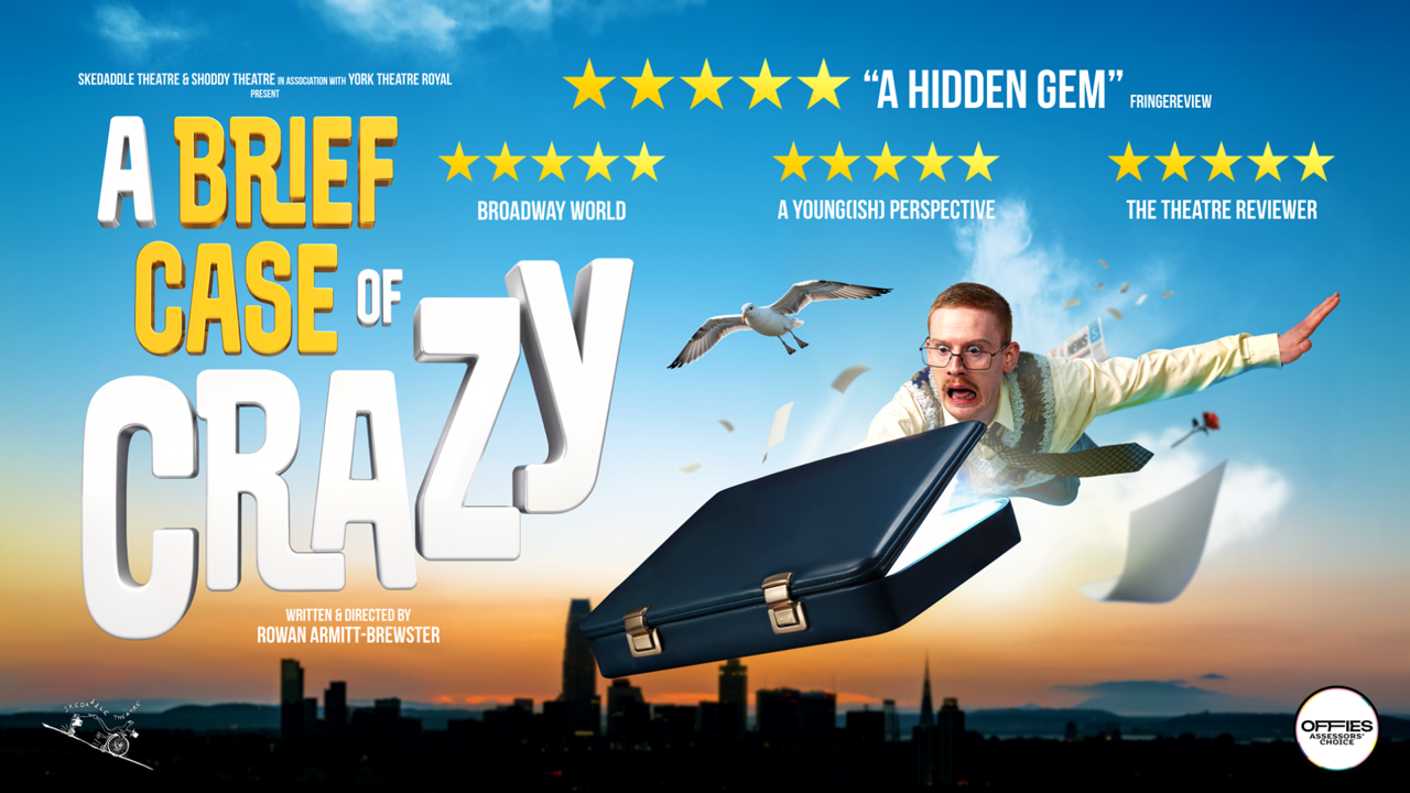 A BriefCase of Crazy