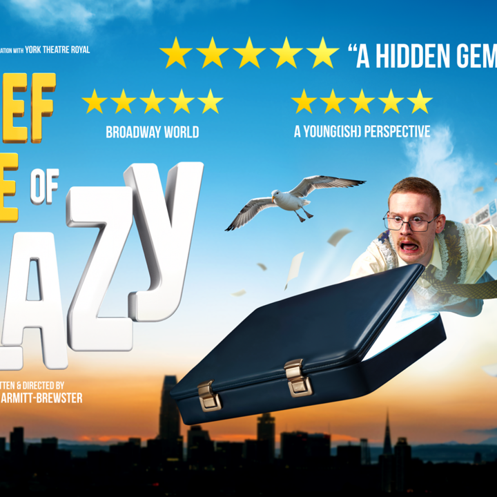 A BriefCase of Crazy