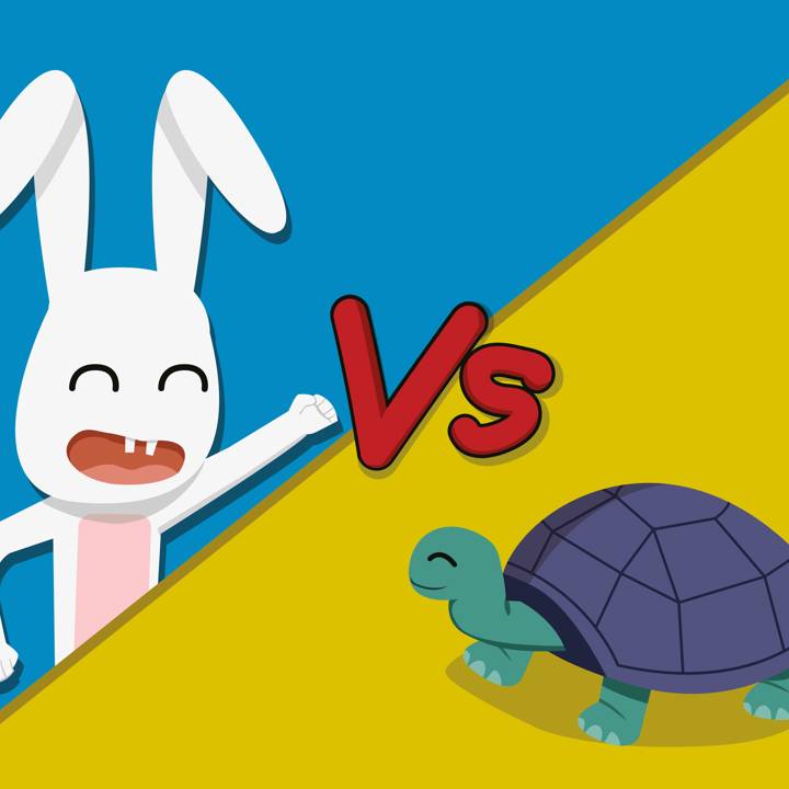 Image Tortoise & The Hare Web Size