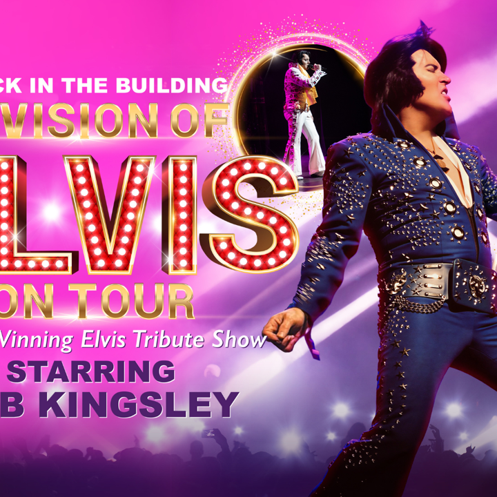 A Vision of Elvis